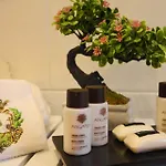 Il Casanova Pensión 4*