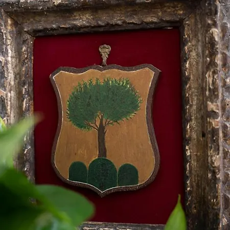 Pensión Il Casanova Tropea