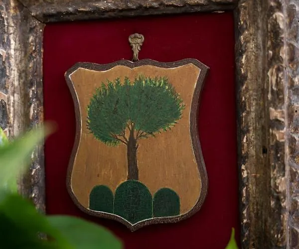 Pensionat Il Casanova Tropea